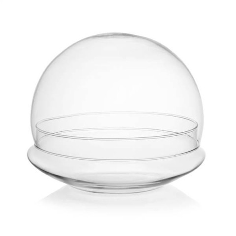TERRARIUM GLOBE H.22 D.25
